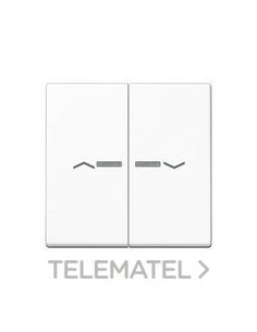 TECLA 2 FS.FIJ.PULS.VISOR SIMB.BL ALP.