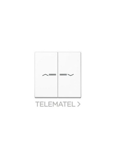 TECLA 2 FS.FIJ.PULS.VISOR SIMB.BL ALP.