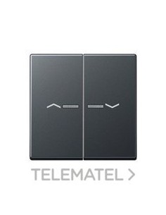 TECLA 2 FS.FIJ.PULS.VISOR/SIMB.ANTR.