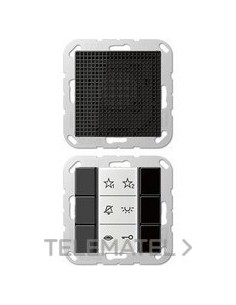 UNIDAD INTERIOR AUDIO P/AS/A500/A NG