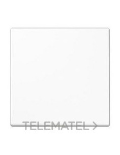 TECLA SIMPLE PULSADOR LS BLANCO ALPINO