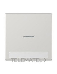 TECLA SIMP.VISOR REGL.INSC.9x58mm LS GCL