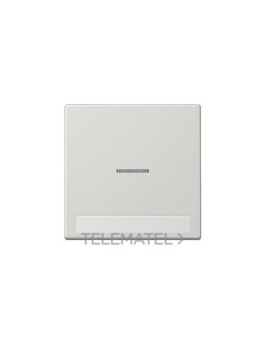 TECLA SIMP.VISOR REGL.INSC.9x58mm LS GCL