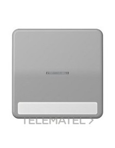 TECLA SIMP.VISOR REGL.INSC.9x58mm CD GR