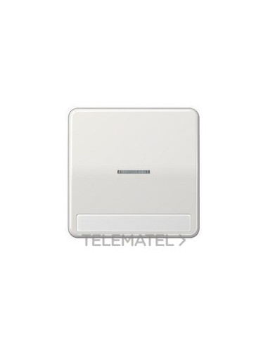 TECLA SIMP.VISOR REGL.INSC.9x58mm CD GCL