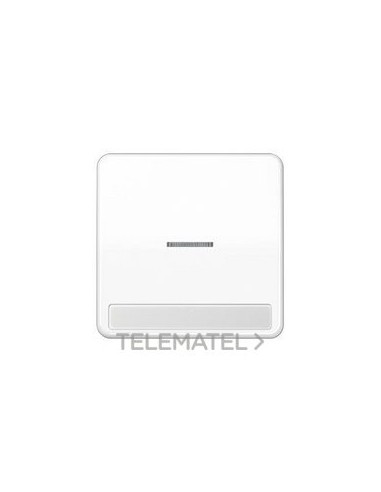 TECLA SIMP.VISOR REGL.INSC.9x58mm CD BL