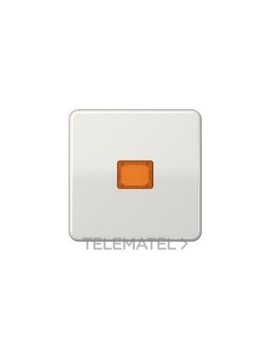 TECLA SIMP.VISOR GDE.CD GCL.