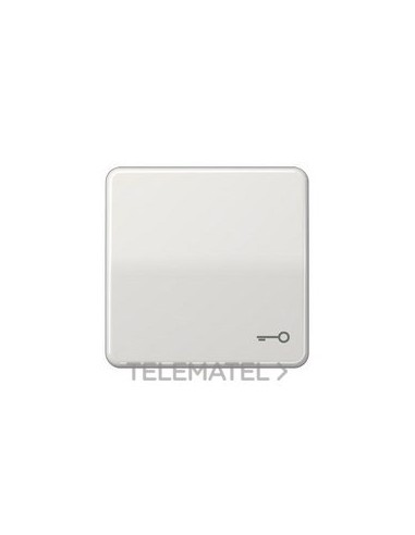 TECLA SÍMBOLO PUERTA GRIS CLARO