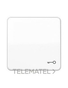 TECLA SÍMBOLO PUERTA BLANCO ALPINO