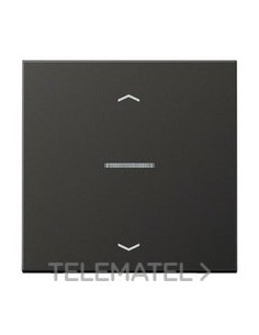 TECLA PULS.SIMP.VISOR/PERS.LS ANTR.