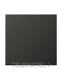 TECLA PULSADOR SIMPLE LS ANTRACITA