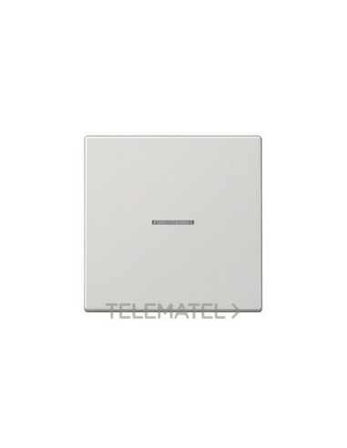 TECLA PULS.SIMP.VISOR LS GCL.