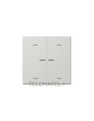 TECLA PULS.DBL.VISOR/PERS.LS GR