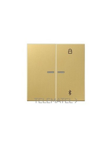 TECLA PROGRAMADORA UNIV.BUETOOTH LT.CLAS