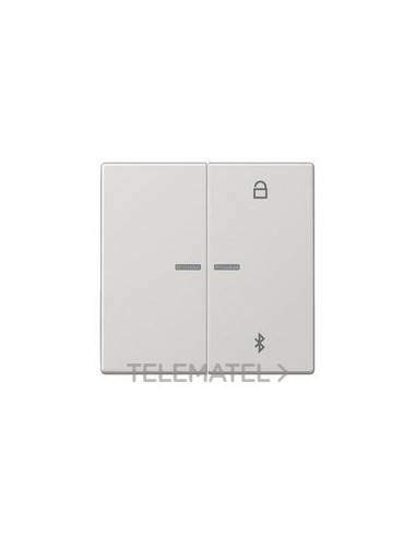 TECLA PROGRAMADORA UNIV.BUETOOTH GCL.