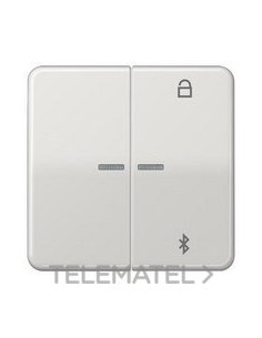 TECLA PROGRAMADORA UNIV.BUETOOTH GCL.