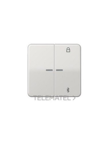 TECLA PROGRAMADORA UNIV.BUETOOTH GCL.