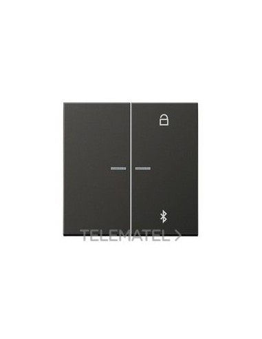 TECLA PROGRAMADORA UNIV.BUETOOTH ANTR.