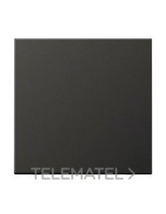 TECLA PARA MECANISMO SIMPLE ANTRACITA