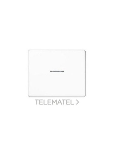 TECLA P/INT.PULS.ILUM.BL ALP.