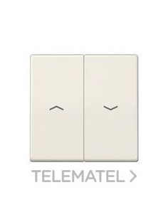 TECLA P/INT.PULS.PERS.PL.CTRAL.BM