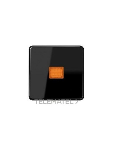 TECLA P/INT.PULS.CTROL.NG