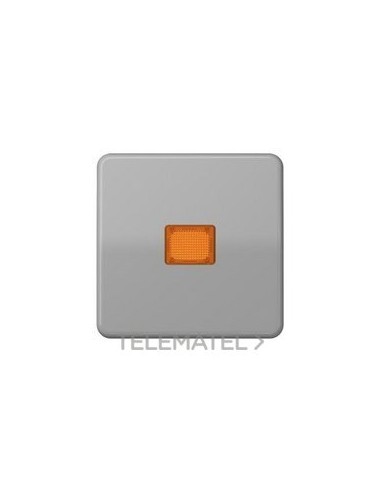 TECLA P/INT.PULS.CTROL.GR