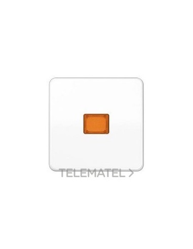 TECLA P/INT.PULS.CTROL.BL ALP.