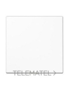 TECLA P/INT.CONM.BL ALP.