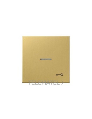 TECLA VISOR SIMB.PTA.LT.CLASSIC