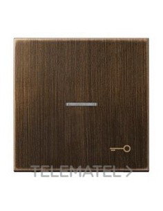 TECLA VISOR SIMB.PTA.LT.ANTIK