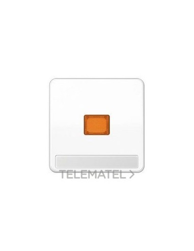 TECLA CTROL.INSC.BL ALP.