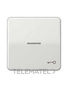 TECLA VISOR SIMB.PTA.CD500 GCL.