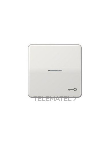 TECLA VISOR SIMB.PTA.CD500 GCL.