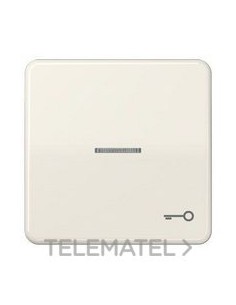 TECLA VISOR SIMB.PTA.CD500 BM