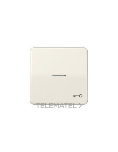 TECLA VISOR SIMB.PTA.CD500 BM