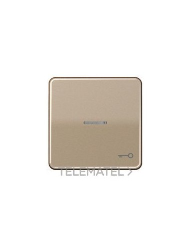 TECLA VISOR SIMB.PTA.CD500 BR