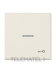 TECLA VISOR SIMB.PTA.BM