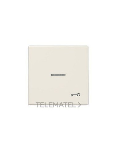 TECLA VISOR SIMB.PTA.BM