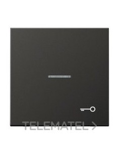 TECLA CON VISOR SÍMBOLO PUERTA ANTRACITA