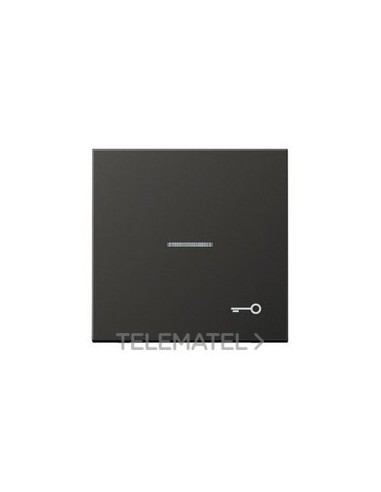 TECLA CON VISOR SÍMBOLO PUERTA ANTRACITA
