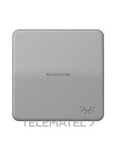 TECLA CON VISOR SÍMBOLO LUZ CD500 GRIS