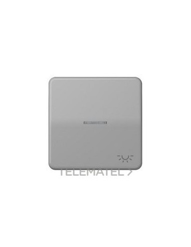 TECLA CON VISOR SÍMBOLO LUZ CD500 GRIS