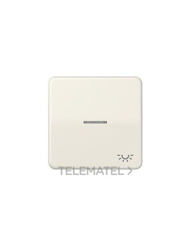 TECLA VISOR SIMB.LUZ CD500 BM