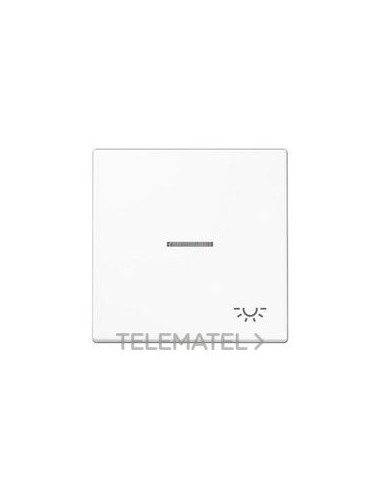 TECLA VISOR SIMB.LUZ BL ALP.