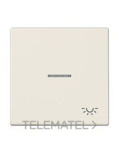 TECLA VISOR SIMB.LUZ BM