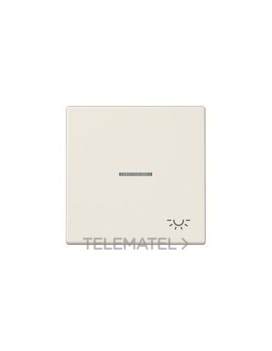 TECLA VISOR SIMB.LUZ BM