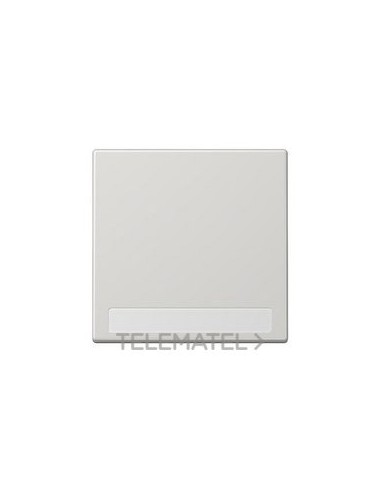 TECLA CON REGLETA GRIS CLARO