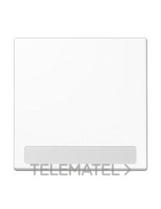 TECLA CON REGLETA BLANCO ALPINO