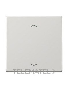 PULSADOR 2 CAN.P/ENOCEAN SIMB.PERS.GR